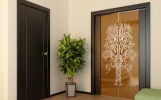 Межкомнатные двери из ценных пород цвета венге, удачные сочетания с интерьером