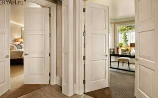 Виды распашных дверей, особенности двустворчатых конструкций и установки в межкомнатный проём