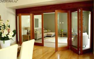 Преимущества и недостатки остекленных дверей, правильный выбор и установка в межкомнатные проёмы и в кухню