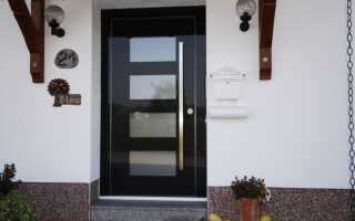 Все нюансы дверей из стекла и порядок их установки на входе, советы по выбору