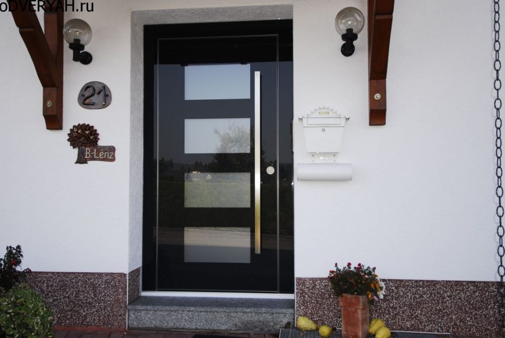 дверь стекло