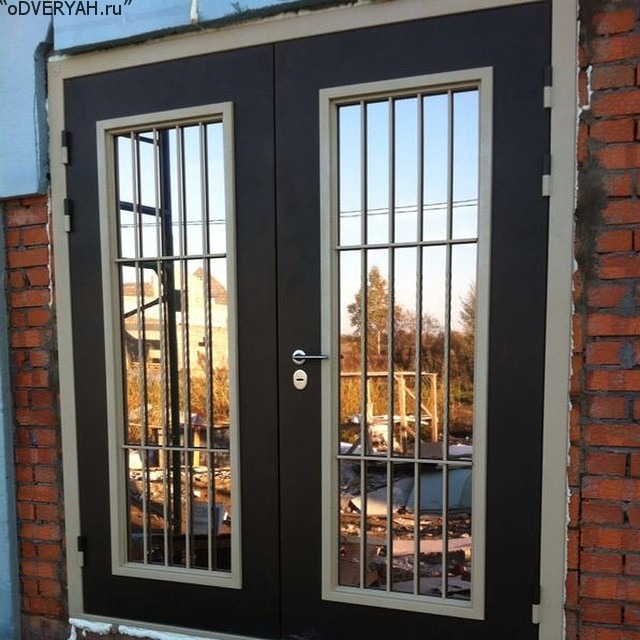 дверь с зеркальным стеклом