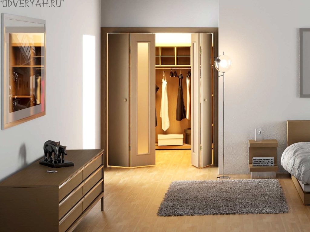 гардеробная дверь- книжка