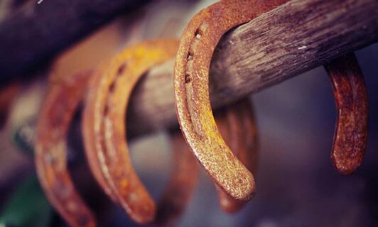 где взять подкову