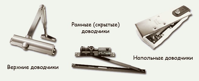 виды