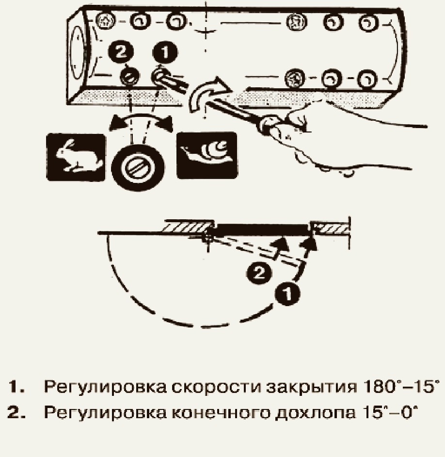 дохлоп